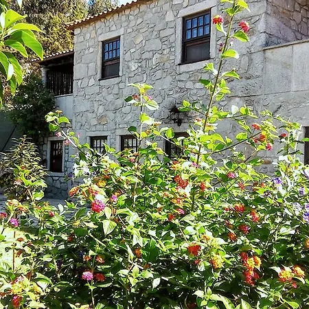 Casa De Santa Ana Farm stay Afife